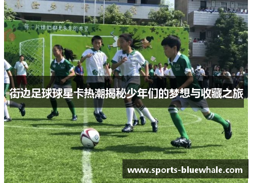 街边足球球星卡热潮揭秘少年们的梦想与收藏之旅